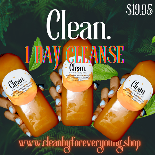 1 DAY CLEANSE