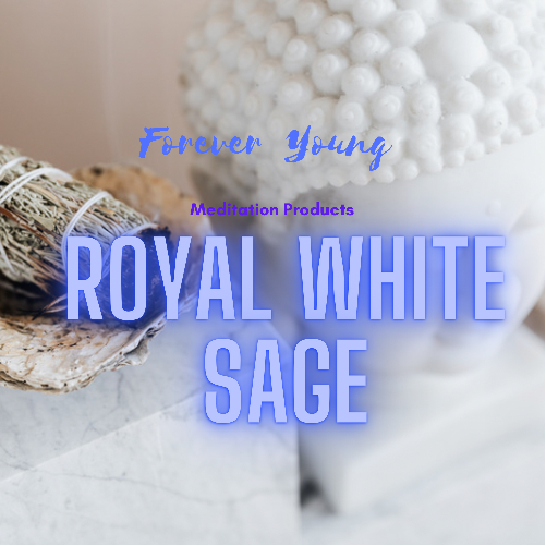 Royal White Sage